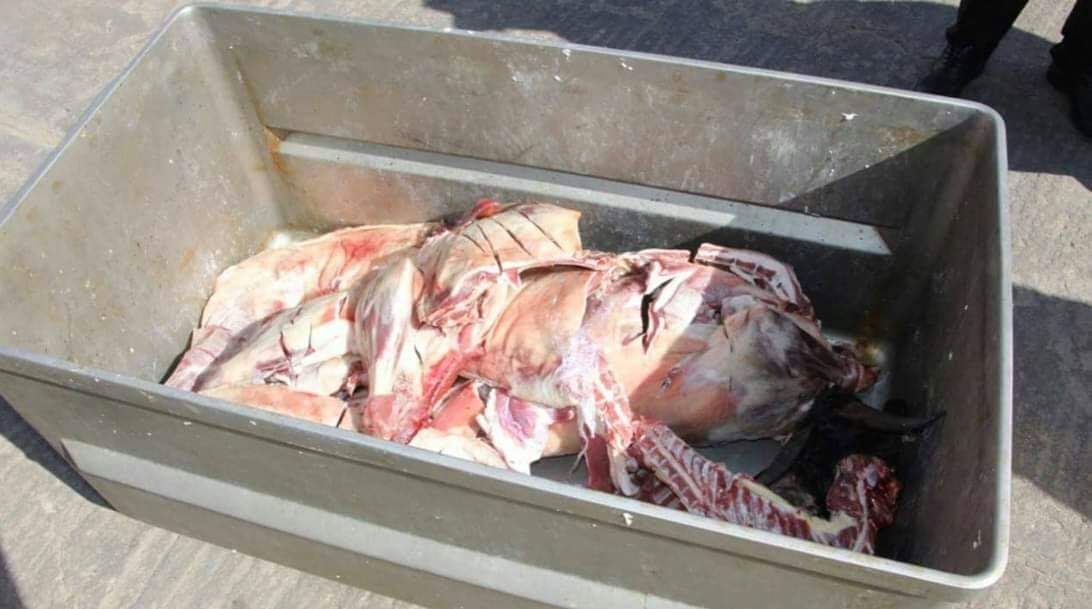  فاسد 2 - صرخة المواطن