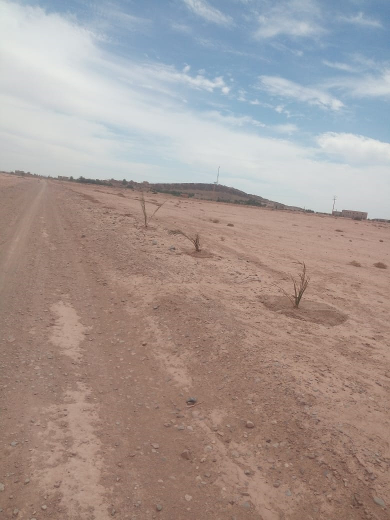  - صرخة المواطن