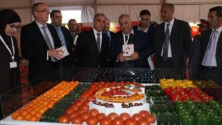 أكادير: جمعية منتجي ومصدري الخضر والفواكه تعقد جمعها العام العادي