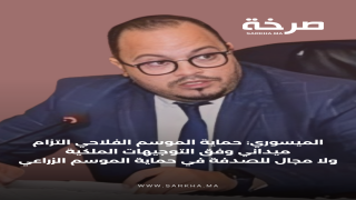 الميسوري: حماية الموسم الفلاحي التزام ميداني وفق التوجيهات الملكية ولا مجال للصدفة في حماية الموسم الزراعي