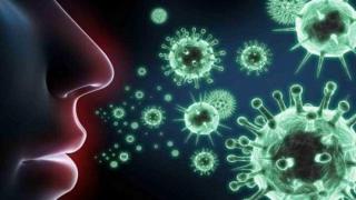 فيروس كورونا