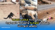 حملة إبادة للكلاب الضالة بمنطقة تكوكة والمناطق المجاورة بإقليم تارودانت