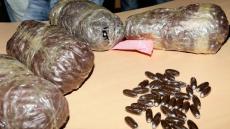 حجز 37 كيلوغرام من الكيف و كميات من الحشيش بتارودانت