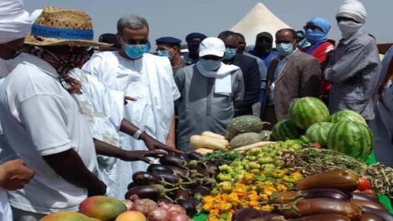 موريتانيا تتراجع عن تقليص وارداتها من الخضر المغربية