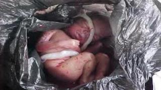 توقيف سيدة وزوجها بإنزكان متورطين في إخفاء رضيعة