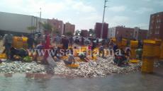 انقلاب شاحنة كبيرة بسيدي بيبي محملة بأطنان من سمك السردين