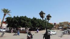 المختلون عقليا يغزون مدينة تارودانت… والمسؤولين خارج التغطية (صور)