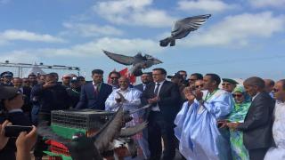 بوجدور: إنطلاق فعاليات مهرجان أكبار بوجدور في نسخته السابعة