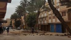 موجة غضب عارمة بتارودانت بعد إقدام المجلس البلدي على اقتلاع المئات من أشجار النخيل