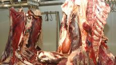 ورزازات : حجر وإتلاف لحوم و منتوجات غذائية فاسدة كانت موجهة لبطون المواطنين