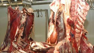 ورزازات : حجر وإتلاف لحوم و منتوجات غذائية فاسدة كانت موجهة لبطون المواطنين