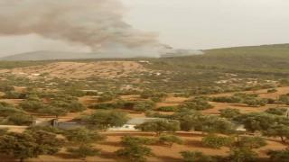 في اولى خرجانه… صالح الدحى عامل تاونات يقضي أكتر من 10 ساعات في غابة لإخماد حريق