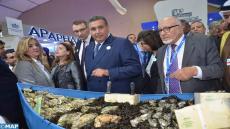 ضباط وبحارة بجهة الداخلة يحرجون أخنوش ويقاطعون معرضه “أليوتيس”