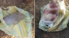 اشتوكة :العثور على رضيع حديت الولادة متخلى عنه ببلفاع