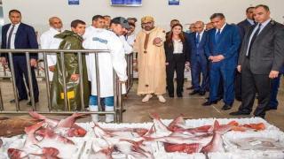 جلالة الملك يُدشن نقطة تفريغ مجهزة لمنتوجات البحر بإيموران نواحي أكادير