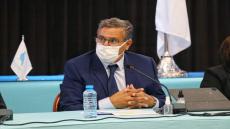 ما الذي يجعل الملياردير أخنوش يقود لائحة الحمامة في جماعة أكادير؟ (بروفايل)