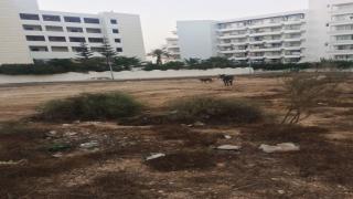 في عز الصيف أكادير تئن على وقع الفوضى و التلوت