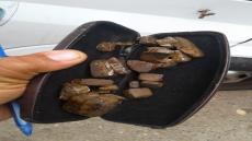 دورية أمنية تعتقل مروج مخدرات بشاطئ أكادير وهذا ما تم حجزه