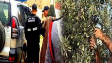 شتوكة: وفاة عامل زراعي داخل ضيعة فلاحية