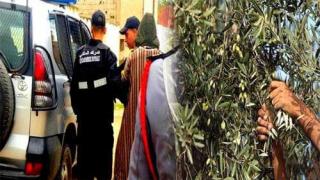 شتوكة: وفاة عامل زراعي داخل ضيعة فلاحية