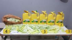 اعتقال ثلاثيني و حجز 7400 قرص اكستازي بأكادير