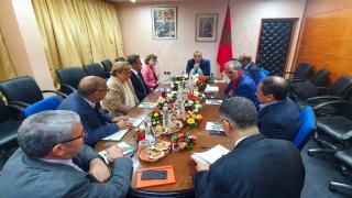 وفد أوروبي يزور وحدات إنتاجية بإنزكان