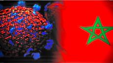 LE MAROC SOUS LES EFFETS DU COVID-19 OU L’AUTRE FACE DE LA PIÈCE