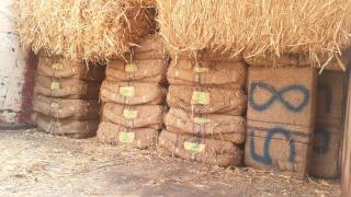 أمن أكادير يتمكن من إجهاض محاولة لتهريب طن و100 كيلوغرام من المخدرات