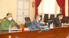 اللجنة الإقليمية للتنمية البشرية باقليم اشتوكة ايت باها تراهن على نماذج مبتكرة في الأنشطة الاقتصادية المدرة للدخل.