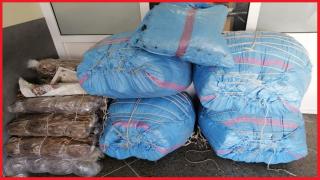 “السفيانية”ملكة المخدرات بجماعة القليعة تقع في قبضة فرقة مكافحة العصابات بأكادير