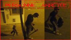 توقيف جانح بالحي المحمدي بأكادير احدت فوضى بالشارع العام و عرض المواطنين للخطر بسلاح أبيض