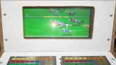 أربعيني بأكادير يتزعم شبكة وطنية لترويج آلات القمار ” الرياشة “