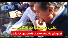 على طريقة ماوكلي … أخنوش يلتهم السمك بقشورو بإنزكان