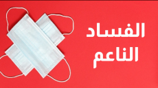 الفساد الناعم بقلم “سعيد أهمان”