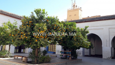 مسجد فرق الاحباب تارودانت