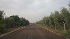 بعد أن إشتكى السكان من “مرجان الزيتون” فلاح يستغل المرجان لتعبيد طريق رملية و جعلها صالحة للسيارات و المركبات