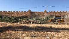 تارودانت.. استنفار السلطات المحلية بعد اكتشاف اول حالة الدودة القرمزية