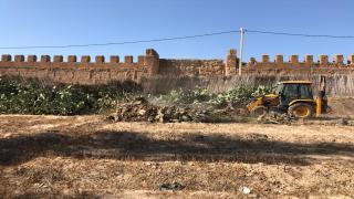 تارودانت.. استنفار السلطات المحلية بعد اكتشاف اول حالة الدودة القرمزية