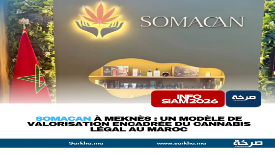 Somacan à Meknès : un modèle de valorisation encadrée du cannabis légal au Maroc