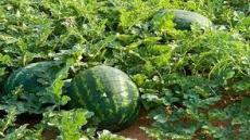 فعاليات المجتمع المدني بطاطا: “أنقذوا إقليم طاطا” -بيان-