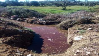 بسبب مياه المجزرة ساكنة حي تدلي بأولوز تنظم وقفة ٱحتجاجية أمام مقر الجماعة