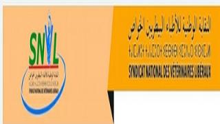 الأطباء البياطرة يُوَضحون بشأن تصريحات مسؤول كونفدرالية نقابات الصيادلة -بيان –