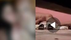 شريط جنسي لمسؤول بمصنع تصبير السمك يهزُّ ايت ملول