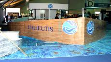 مدينة أكادير تحتضن الدورة الخامسة لمعرض “أليوتيس” من 21 إلى 24 فبراير