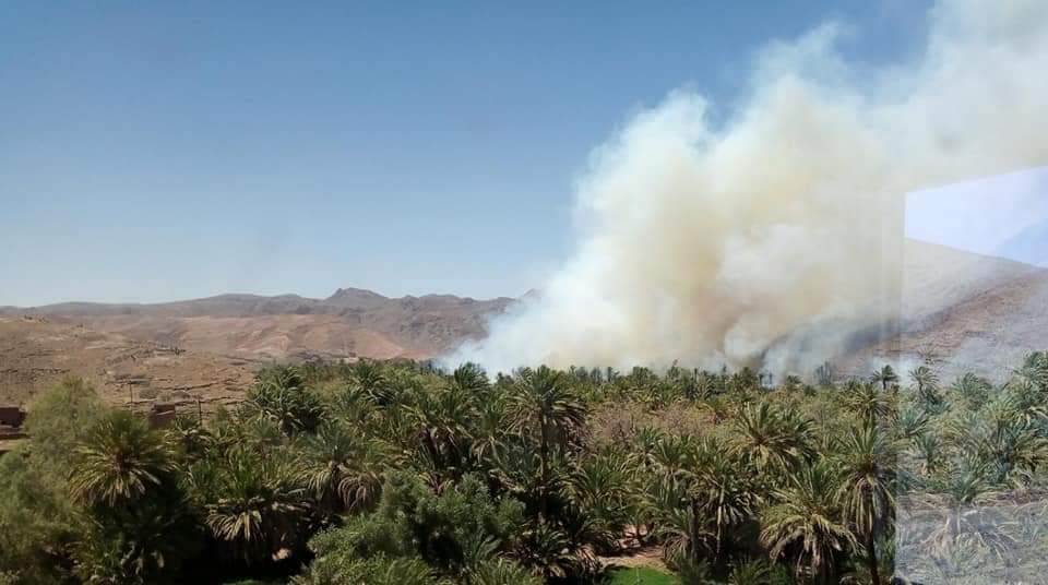 حريق ضخم يلتهم واحات النخيل بإقليم زاگورة