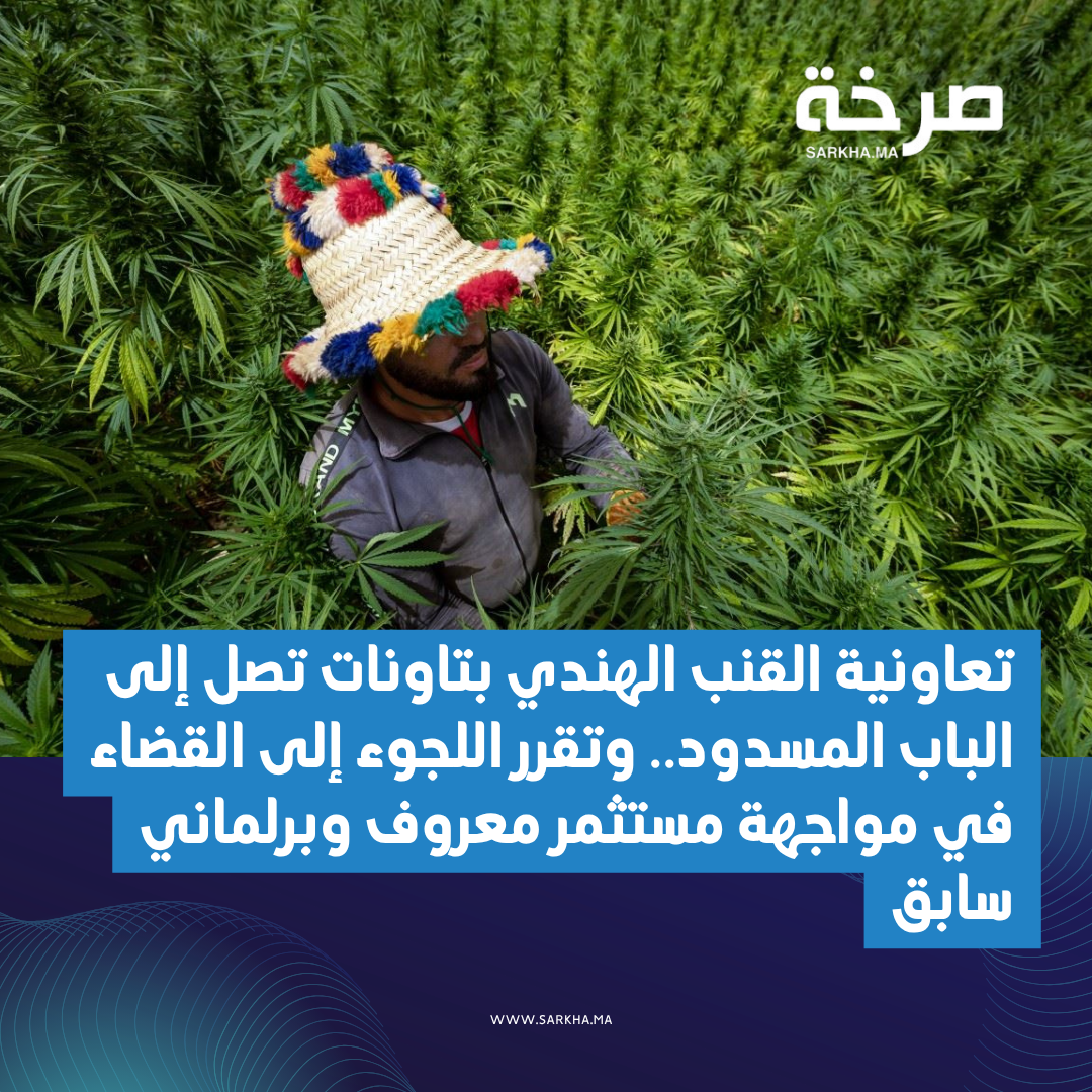 تعاونية القنب الهندي بتاونات تصل إلى الباب المسدود.. وتقرر اللجوء إلى القضاء في مواجهة مستثمر معروف وبرلماني سابق